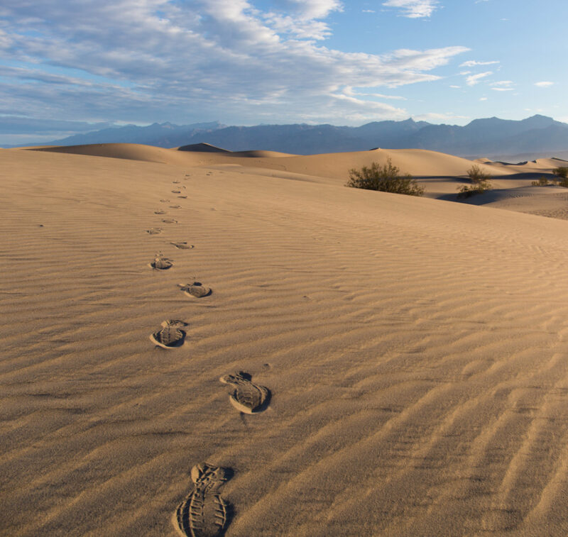 Una huella en el desierto